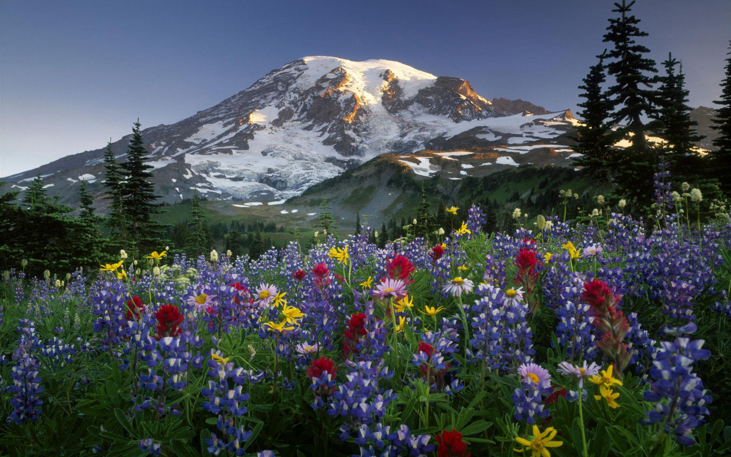 Seasonal Happy Birthday Flowers
