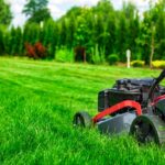 Choosing a Green Waste Removal Company: Expertise You Can Trust