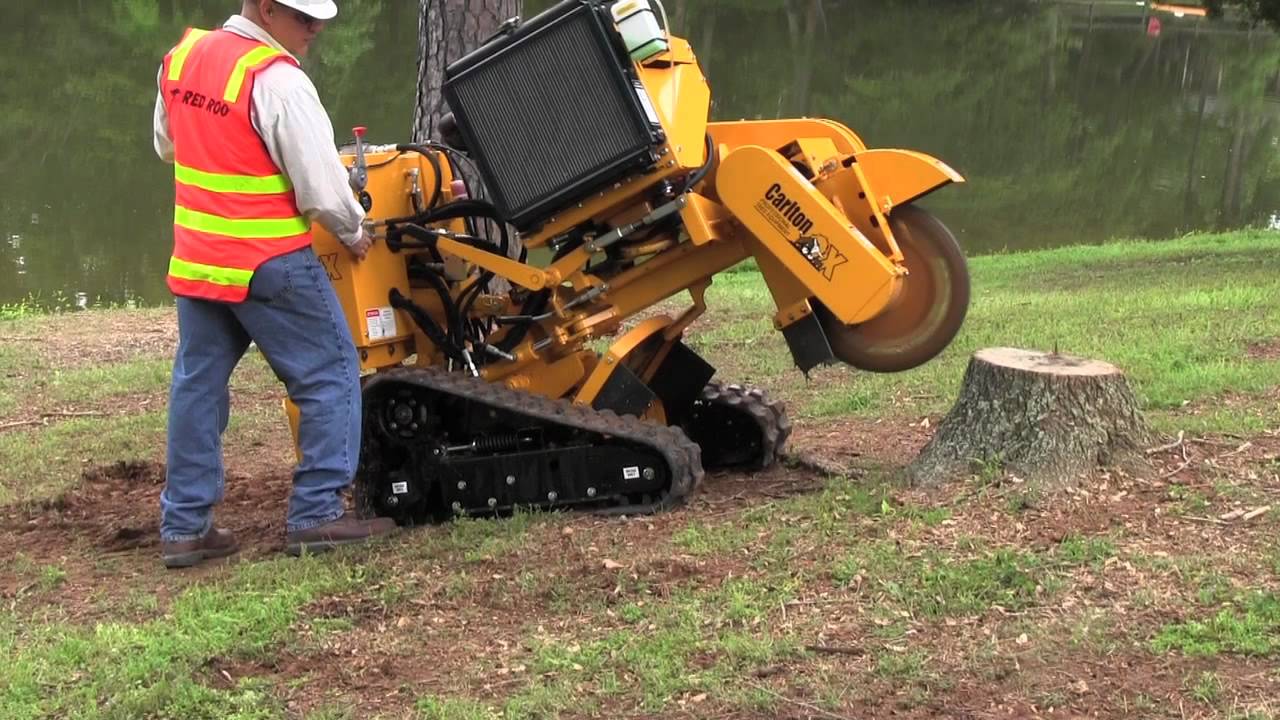 Comprehensive Guide to Stump Removals and Tree Root Removal Services