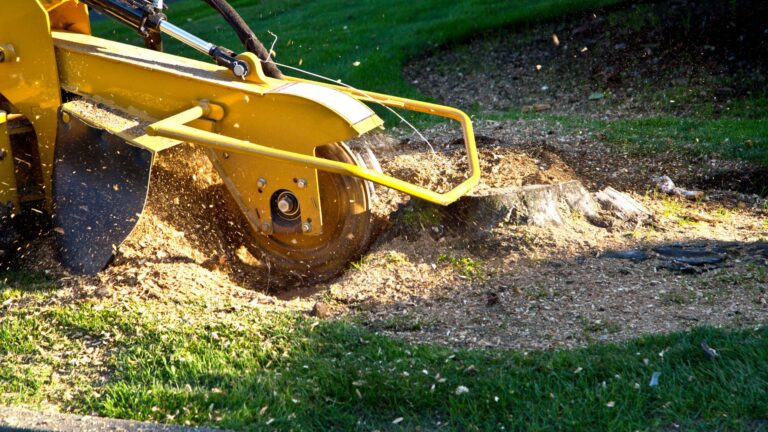 Stump Grinding Sydney: The Ultimate Solution for Tree Stump Removal