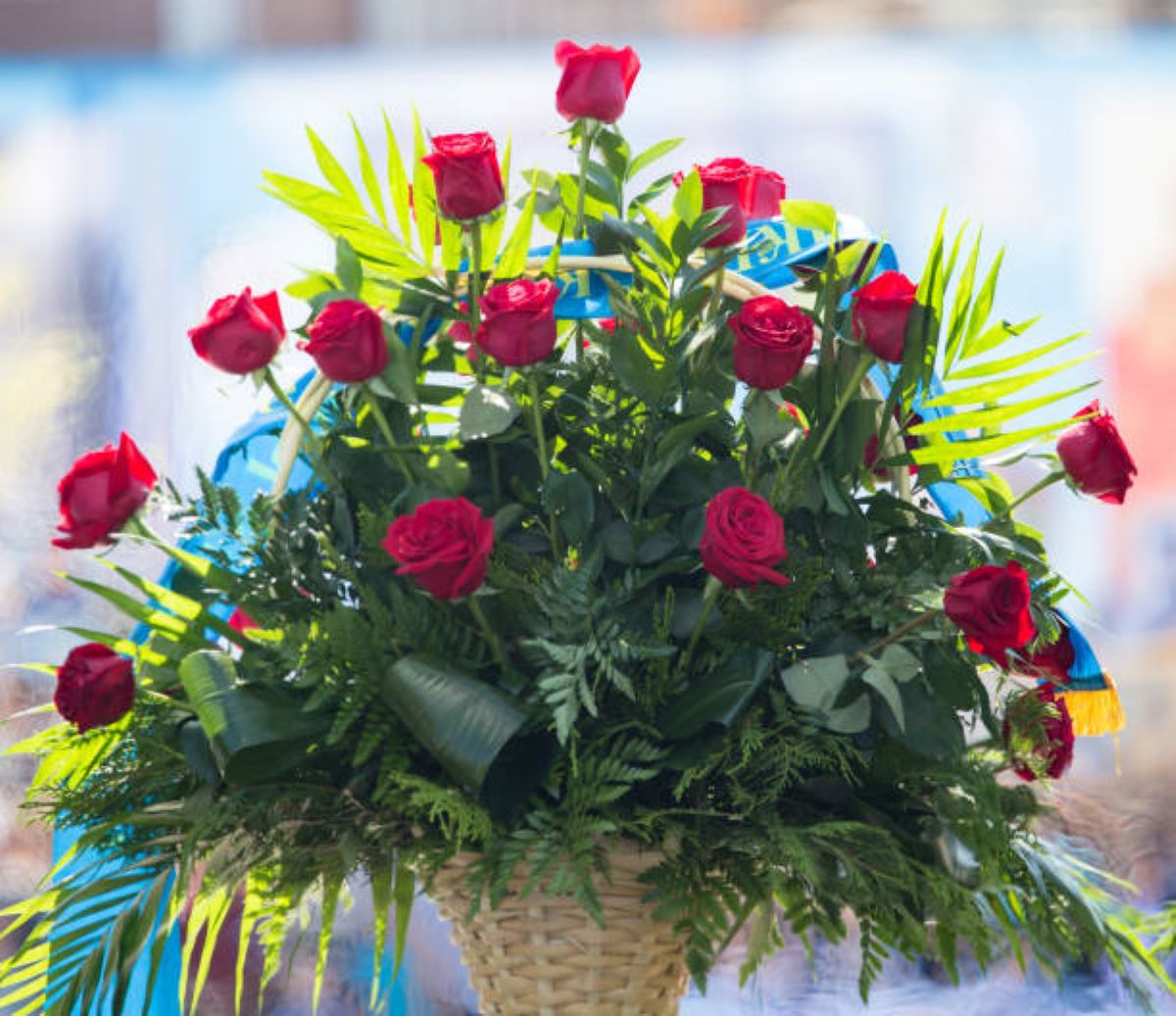 McMahons Point Florists: Beautiful Bouquets for Any Occasion