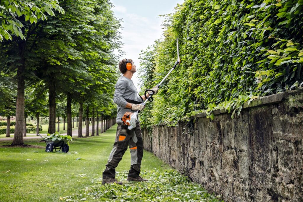 Residential Hedge Trimming