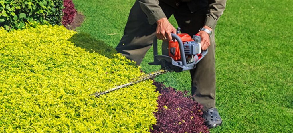 Cost of Hedge Trimming