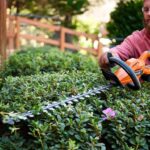Residential Hedge Trimming: 5 Must-Know Tips for a Neat Landscape