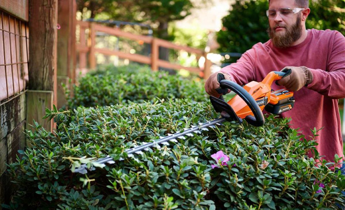 Residential Hedge Trimming: 5 Must-Know Tips for a Neat Landscape