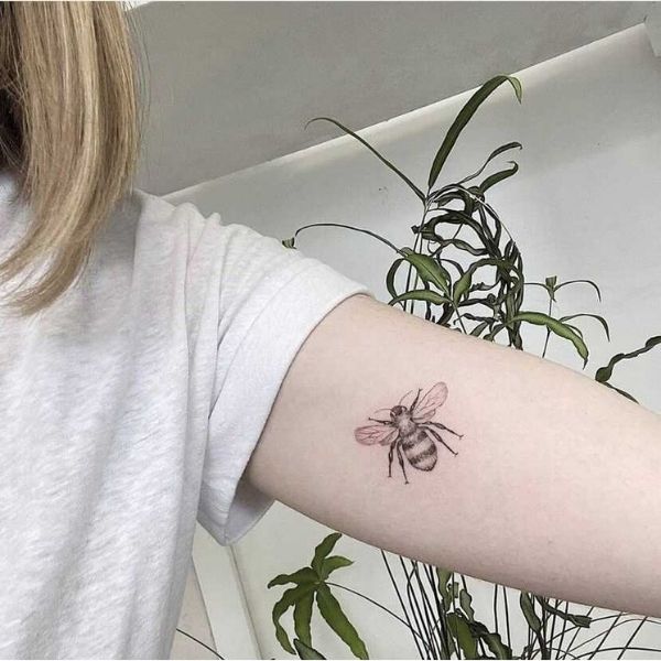 How to Find Eastern Suburbs Tattoo Artists Who Specialise in Fine Line Work