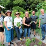 Finding Affordable and Skilled Tree Pruning Near Me