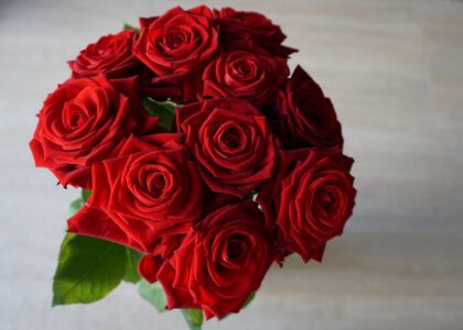 Valentine's Day Flowers in Sydney: An Honest Guide to the Hardest Day in Floristry